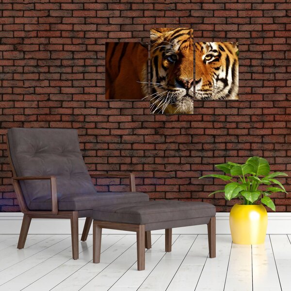 Slika tigra (90x60 cm)