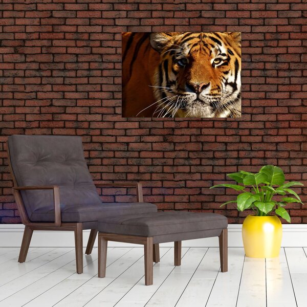Slika tigra (70x50 cm)