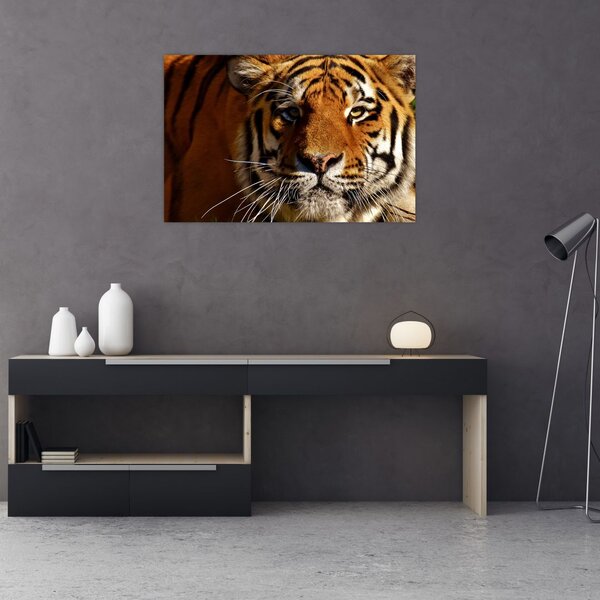 Slika tigra (90x60 cm)