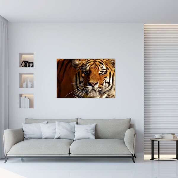 Slika tigra (90x60 cm)