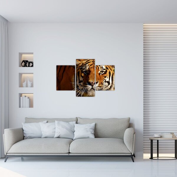 Slika tigra (90x60 cm)
