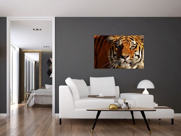Slika tigra (90x60 cm)