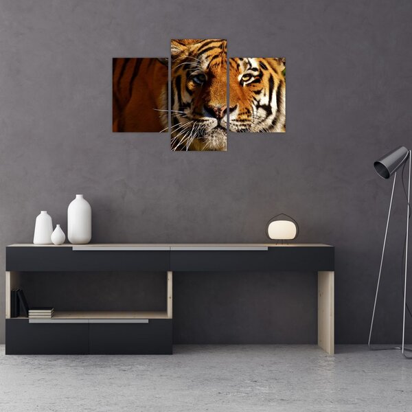 Slika tigra (90x60 cm)
