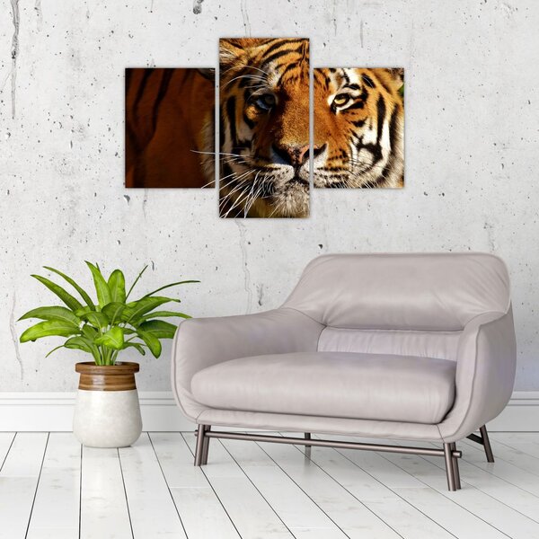 Slika tigra (90x60 cm)
