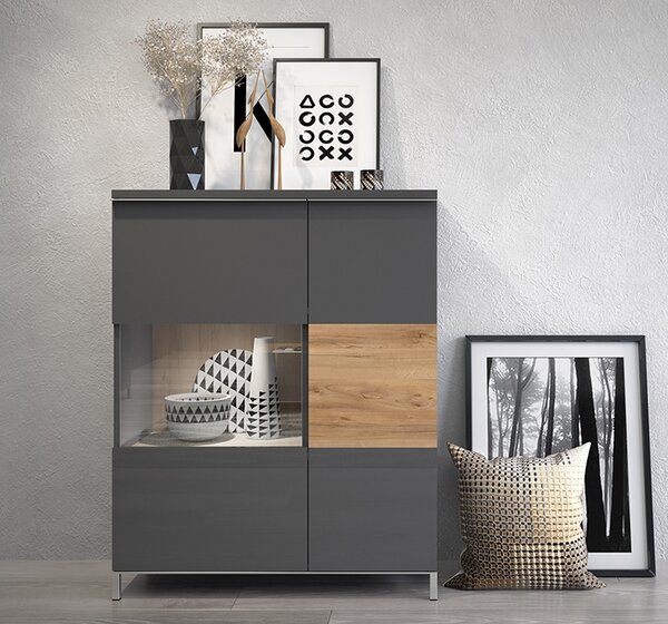 VITRINA RADDA ONYX SA RASVJETOM