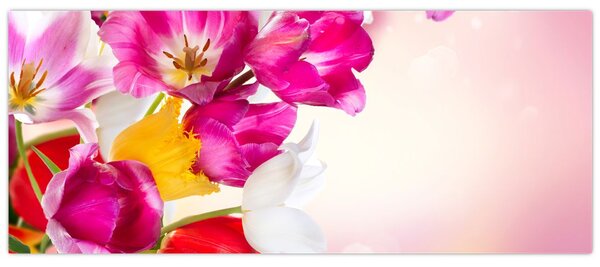 Slika tulipana (120x50 cm)