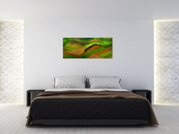 Slika - Polja, livade (120x50 cm)
