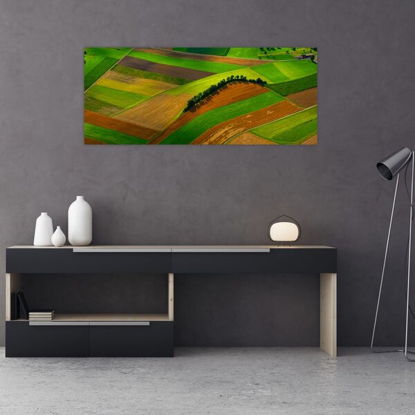 Slika - Polja, livade (120x50 cm)
