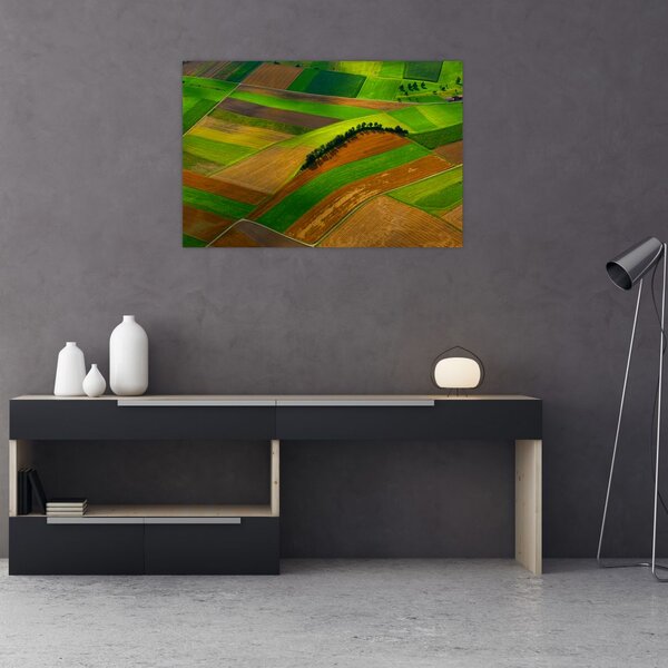 Slika - Polja, livade (90x60 cm)