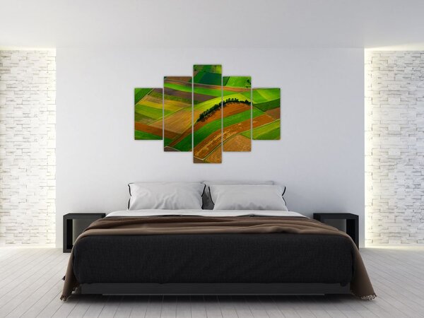 Slika - Polja, livade (150x105 cm)