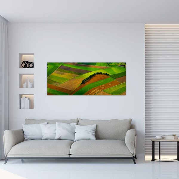 Slika - Polja, livade (120x50 cm)
