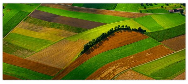 Slika - Polja, livade (120x50 cm)