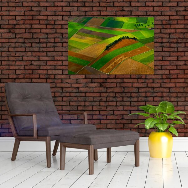 Slika - Polja, livade (90x60 cm)