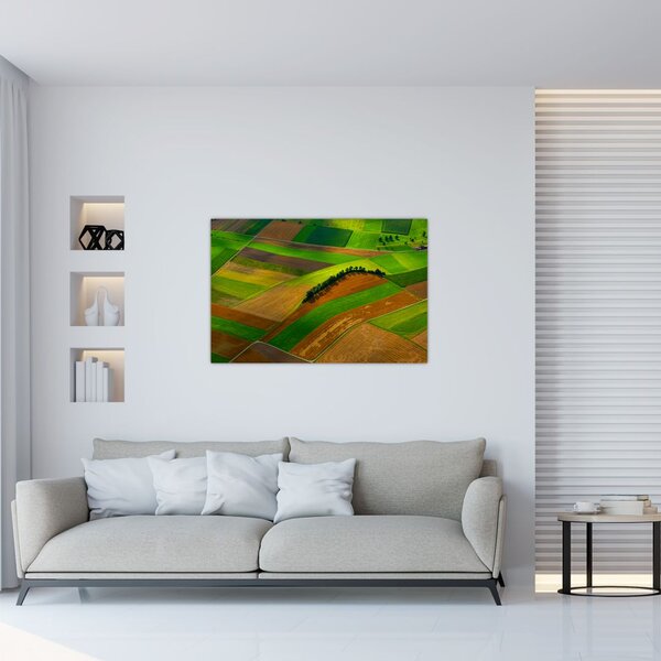 Slika - Polja, livade (90x60 cm)