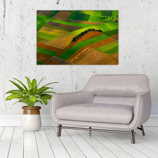 Slika - Polja, livade (90x60 cm)