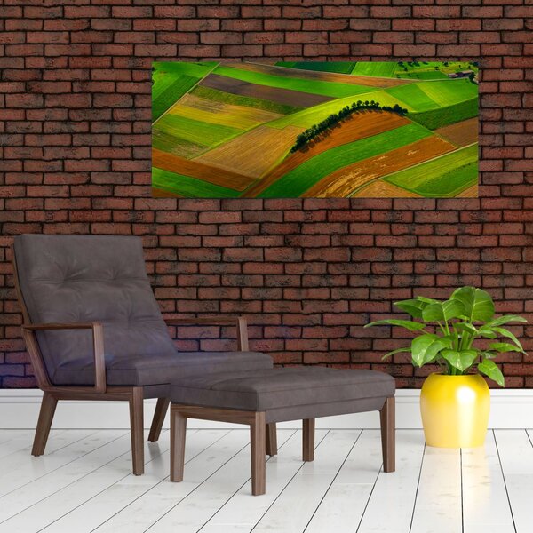 Slika - Polja, livade (120x50 cm)