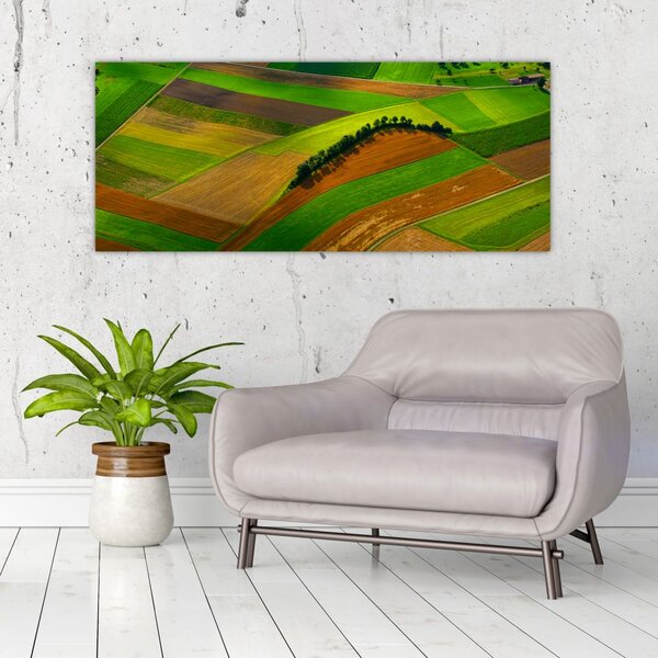 Slika - Polja, livade (120x50 cm)
