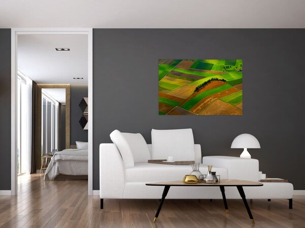 Slika - Polja, livade (90x60 cm)