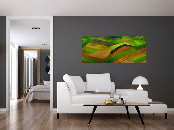 Slika - Polja, livade (120x50 cm)