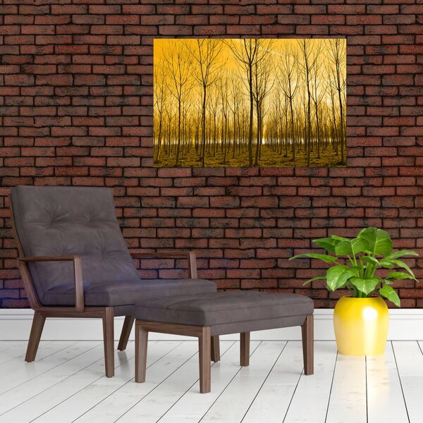 Slika - Plantaža drveća (90x60 cm)