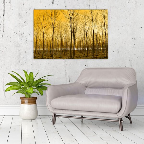 Slika - Plantaža drveća (90x60 cm)