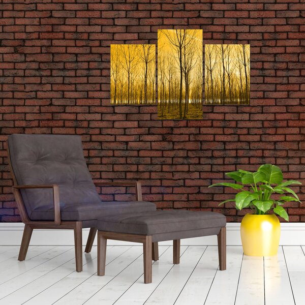 Slika - Plantaža drveća (90x60 cm)