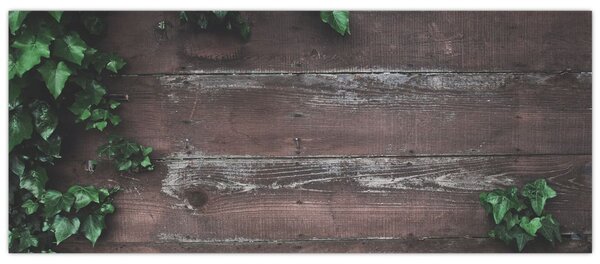 Slika - Bršljan (120x50 cm)