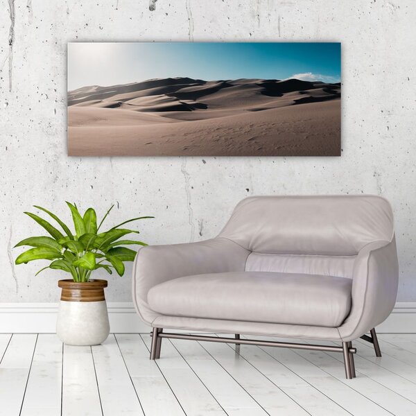 Slika - Iz pustinje (120x50 cm)