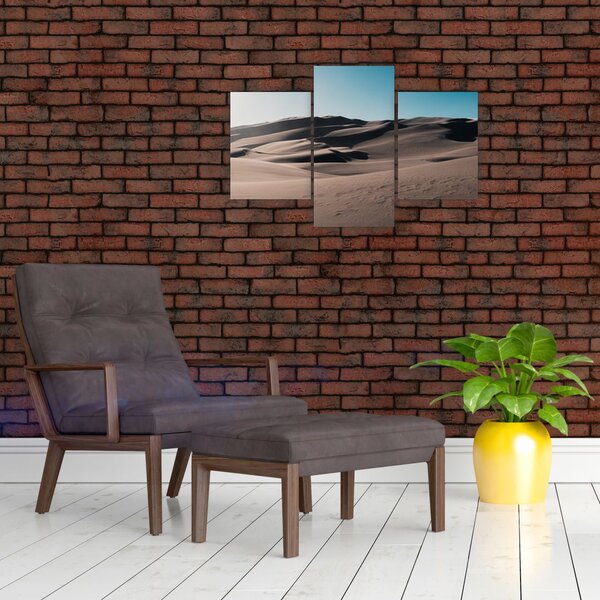 Slika - Iz pustinje (90x60 cm)