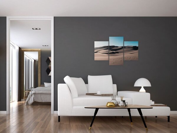 Slika - Iz pustinje (90x60 cm)