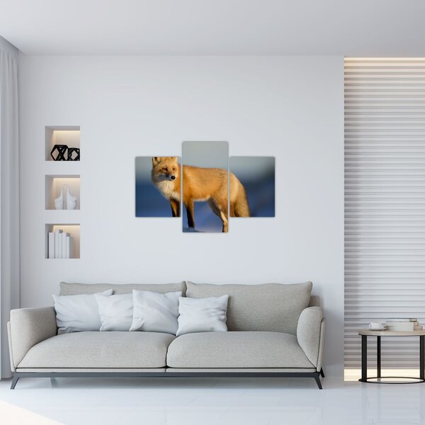 Slika - Lisica u snijegu (90x60 cm)