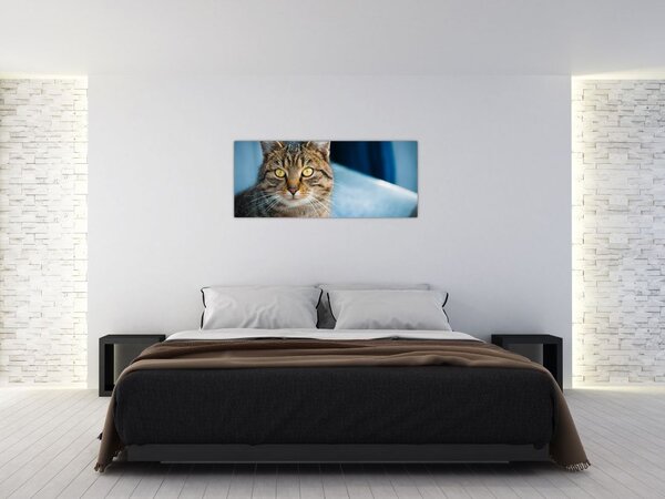 Slika - Domaća mačka (120x50 cm)