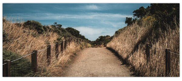 Slika - Na stazi (120x50 cm)