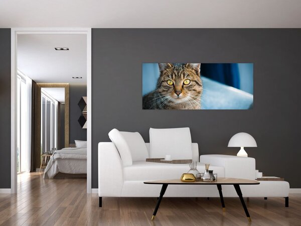 Slika - Domaća mačka (120x50 cm)