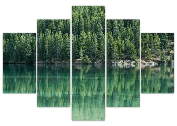 Slika - Četinari uz jezero (150x105 cm)