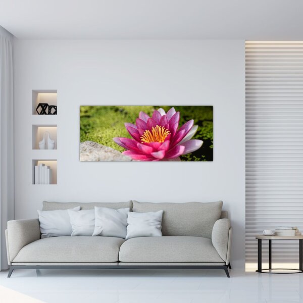 Slika - Lopoč (120x50 cm)