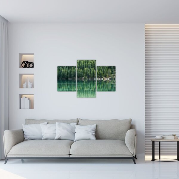 Slika - Četinari uz jezero (90x60 cm)