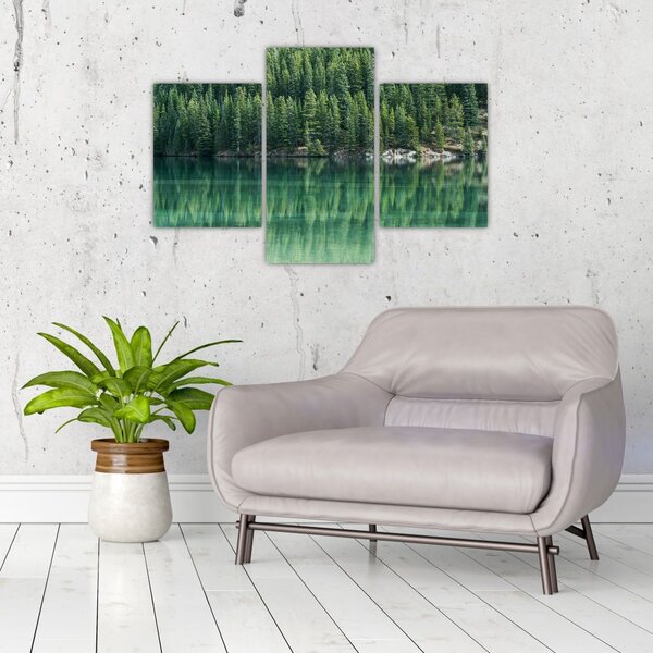 Slika - Četinari uz jezero (90x60 cm)