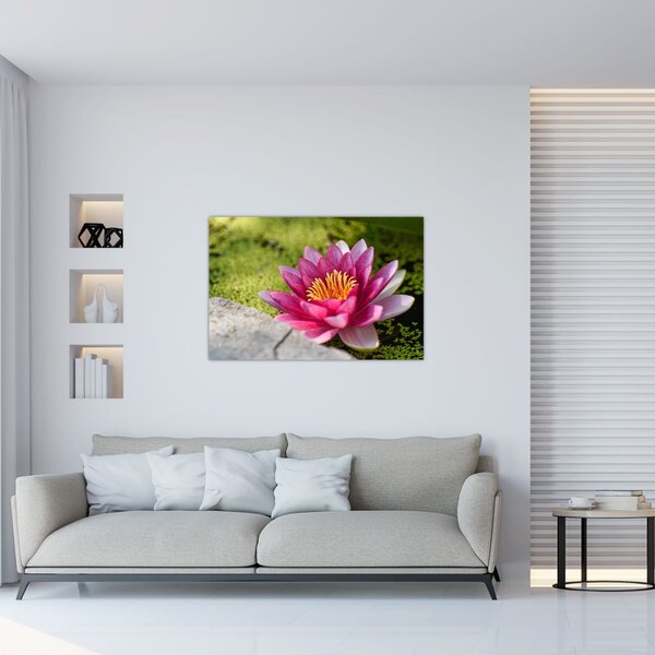 Slika - Lopoč (90x60 cm)