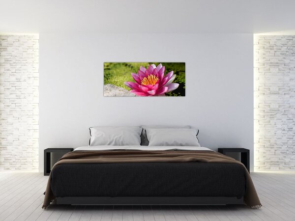 Slika - Lopoč (120x50 cm)