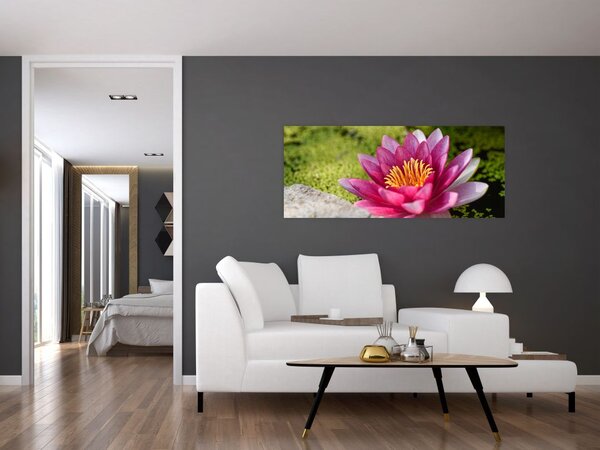 Slika - Lopoč (120x50 cm)