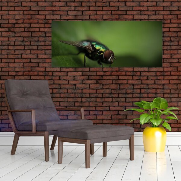 Slika - Muha (120x50 cm)