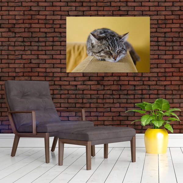 Slika mačke na kauču (90x60 cm)