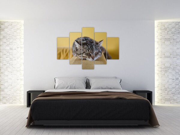 Slika mačke na kauču (150x105 cm)