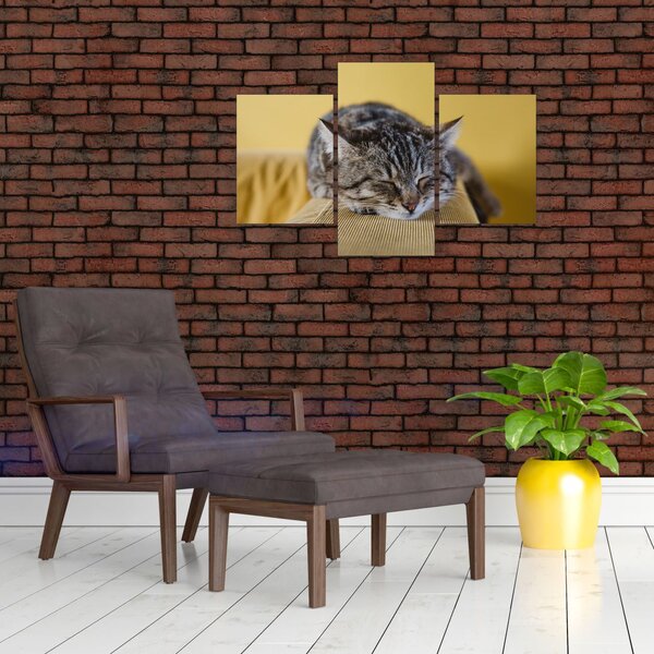 Slika mačke na kauču (90x60 cm)