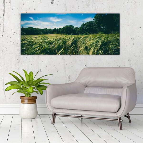 Slika livade i šume (120x50 cm)