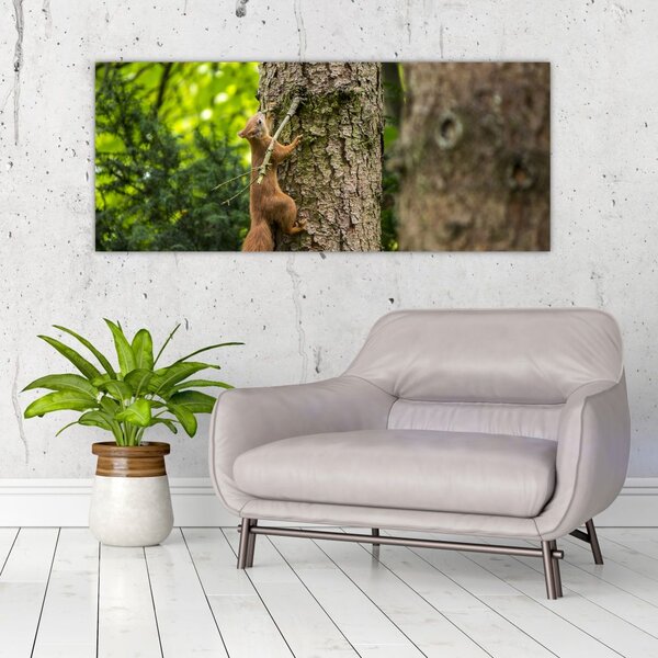 Slika - Vjeverica (120x50 cm)