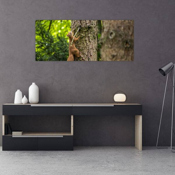 Slika - Vjeverica (120x50 cm)