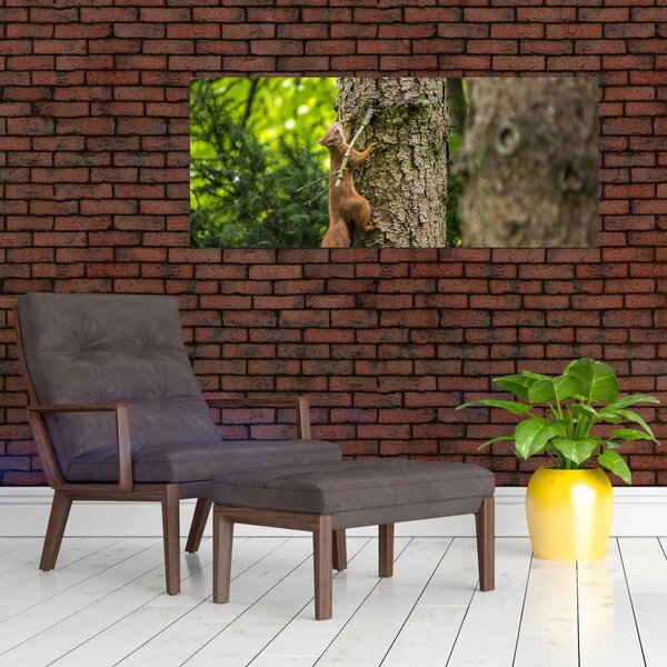 Slika - Vjeverica (120x50 cm)