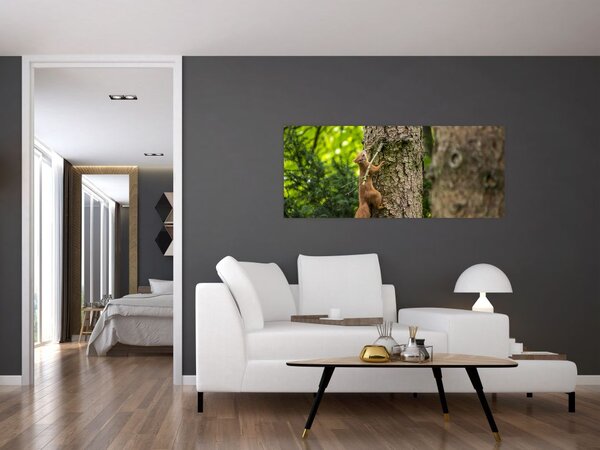 Slika - Vjeverica (120x50 cm)